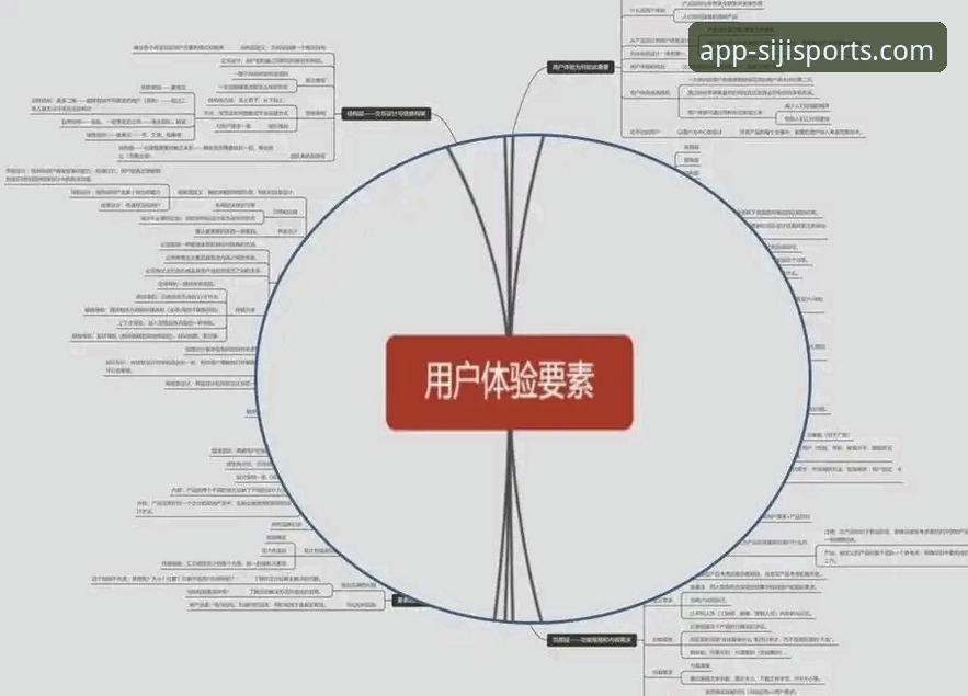 四季体育软件下载深度分析：从版本迭代到用户体验的全面解析